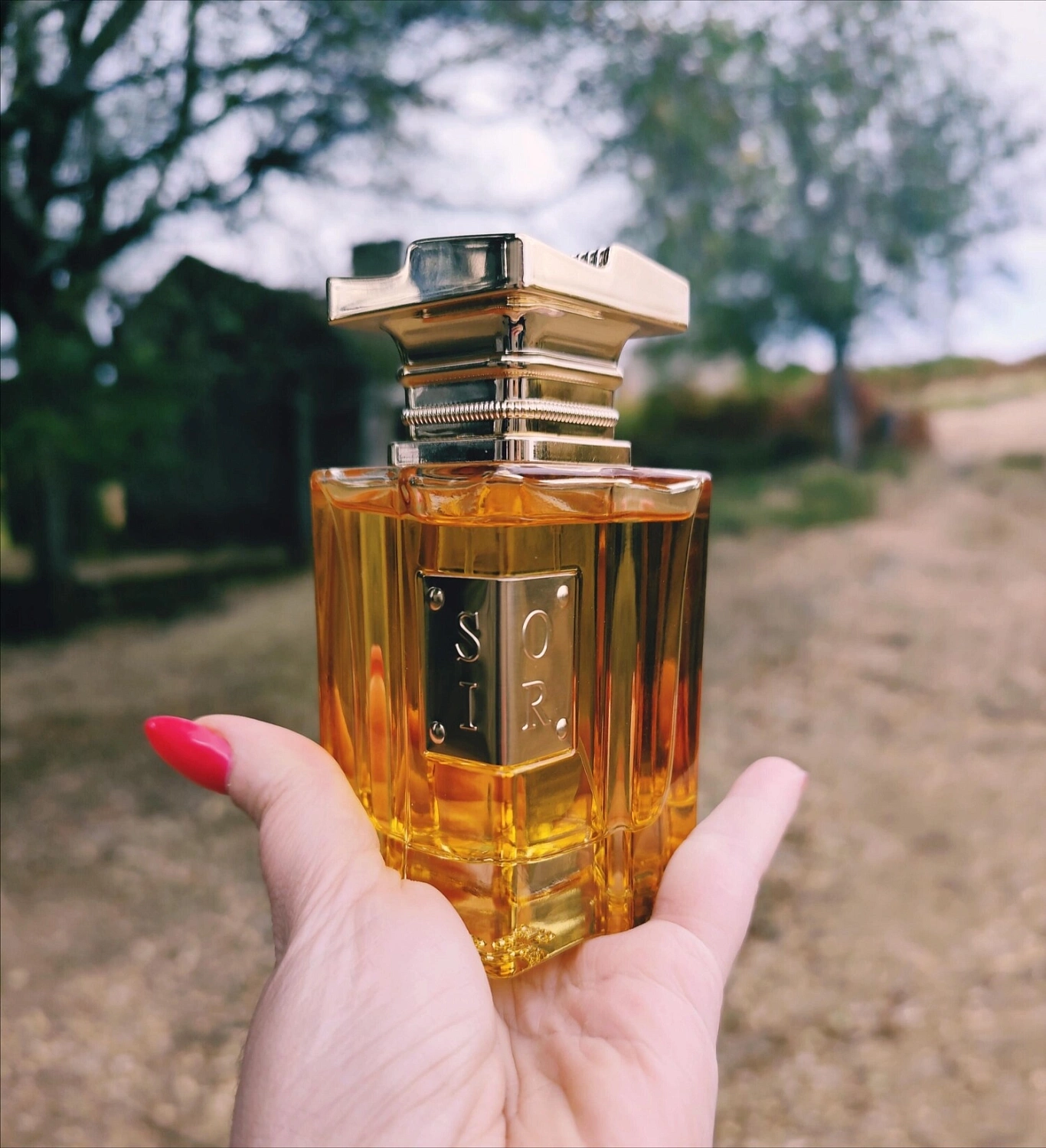 Fragrance World Soir