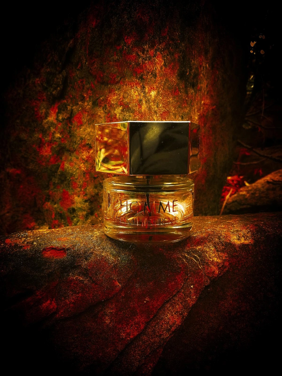 Yves Saint Laurent L'Homme