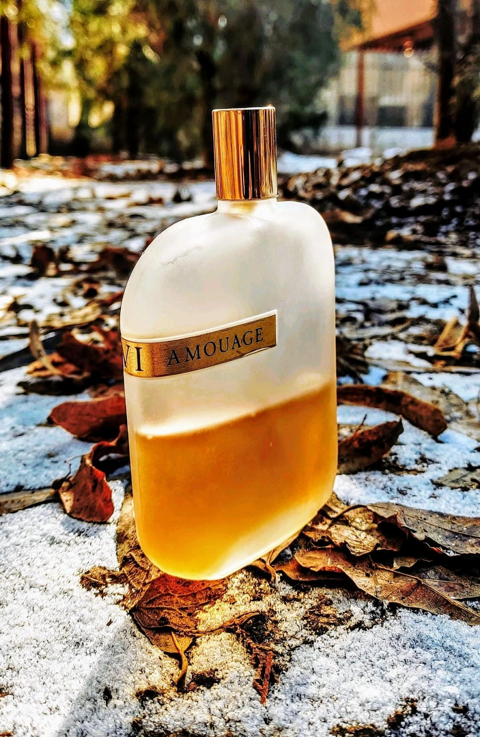 Amouage The Library Collection Opus VI