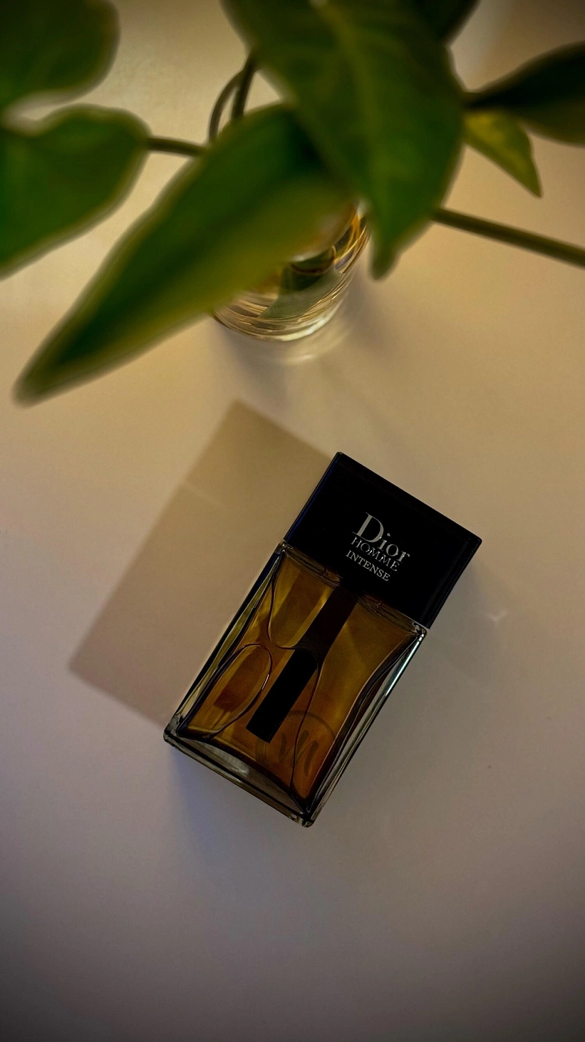 Christian Dior Homme Intense