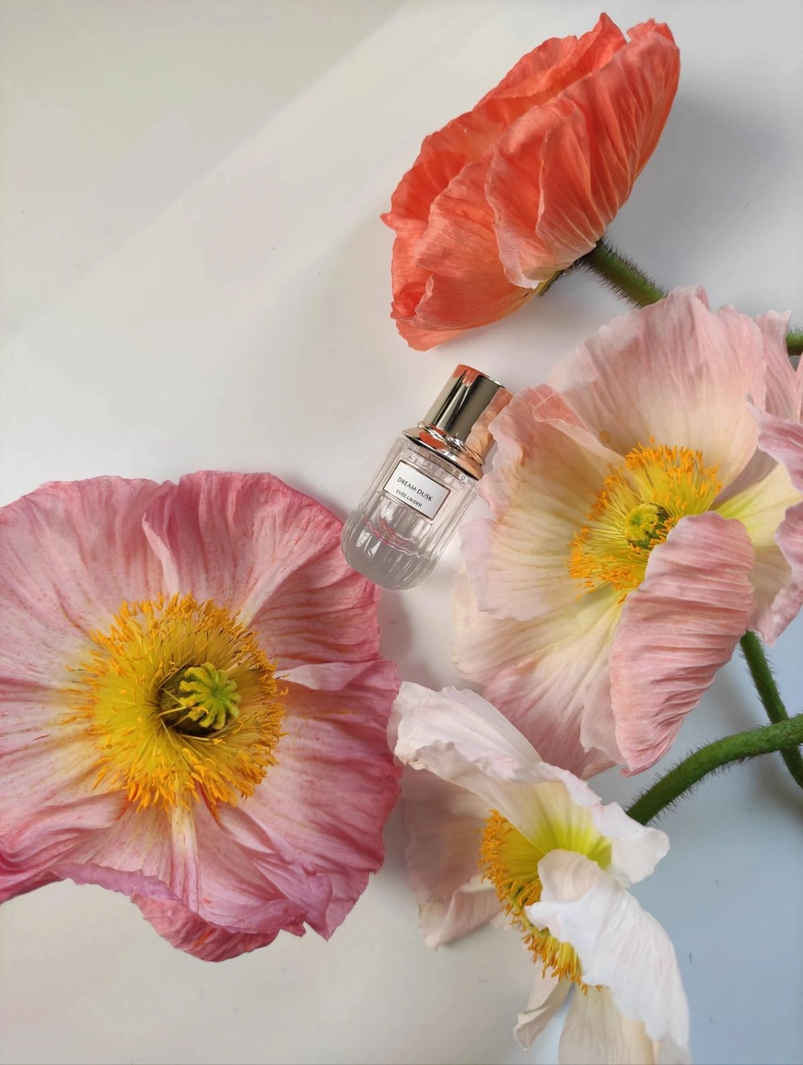 Estée Lauder Dream Dusk