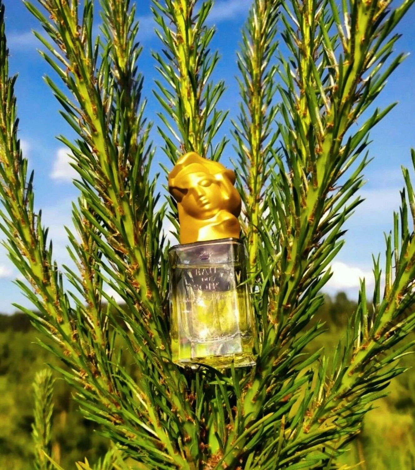 Sisley Eau du Soir