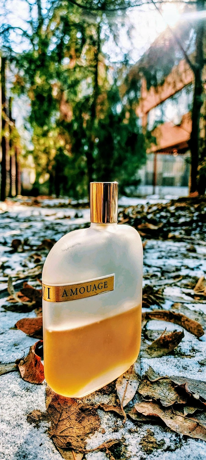 Amouage The Library Collection Opus VI