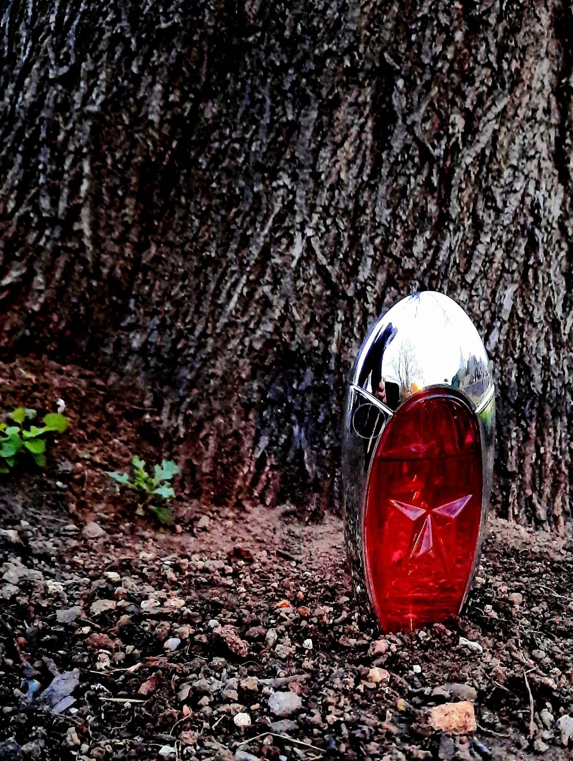 Mugler Angel Muse Eau de Toilette