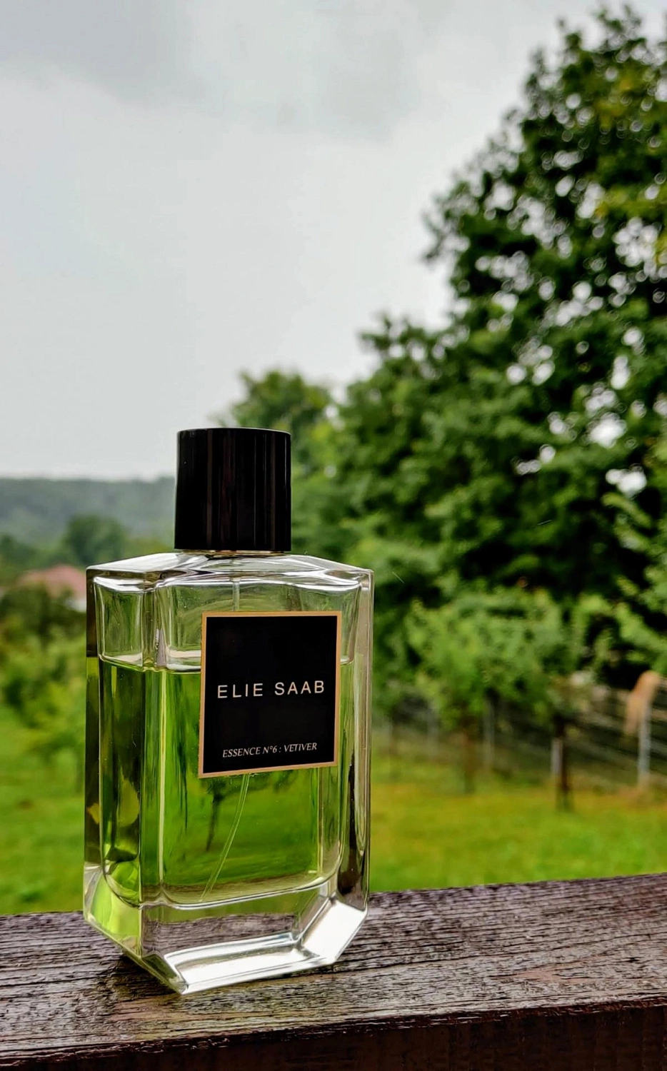 Elie Saab Essence No. 6 Vetiver