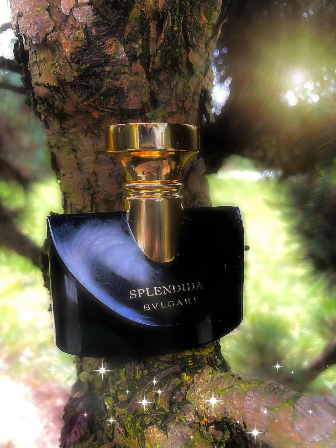 Bvlgari Splendida Jasmin Noir