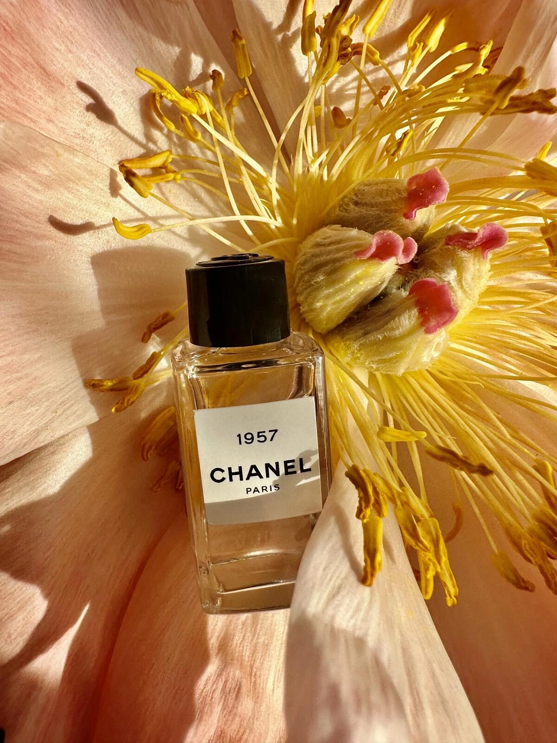 Chanel 1957