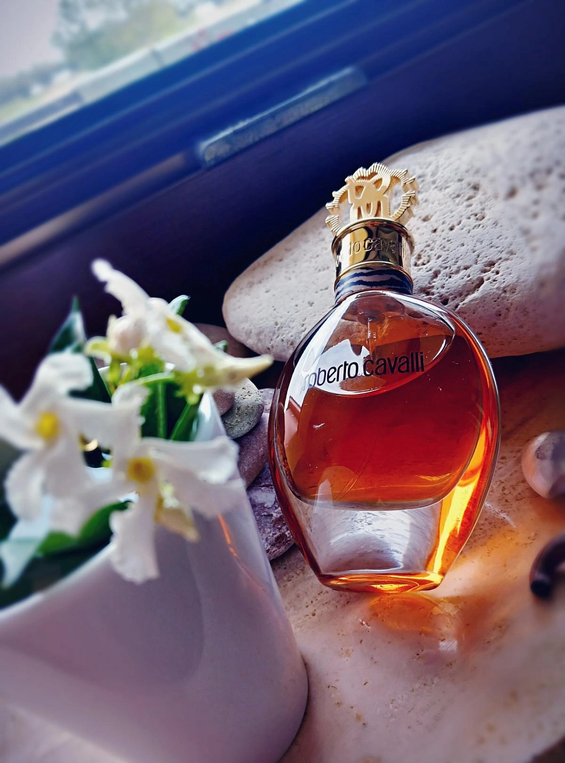 Roberto Cavalli Eau de Parfum 2012 (Signature)
