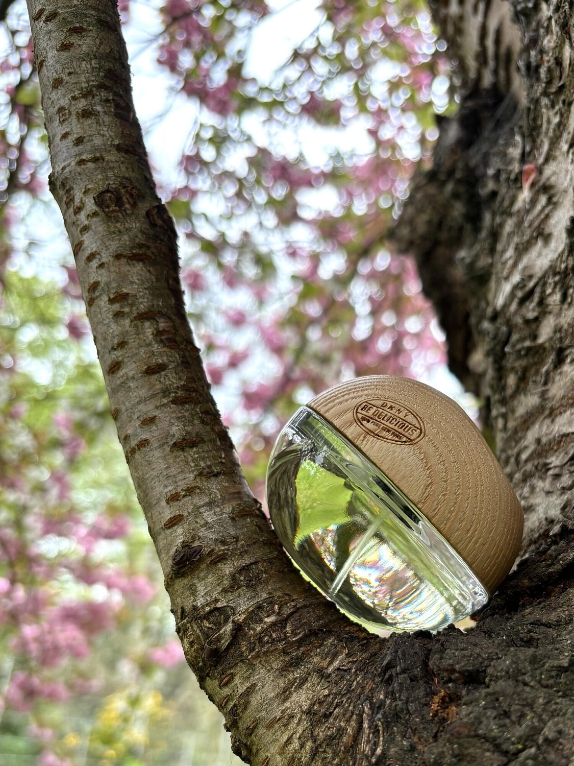 DKNY Be Delicious Coconuts About Summer