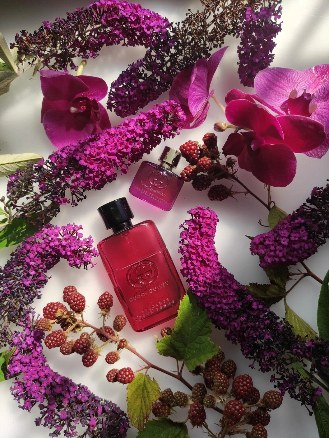 Gucci Guilty Absolute pour Femme