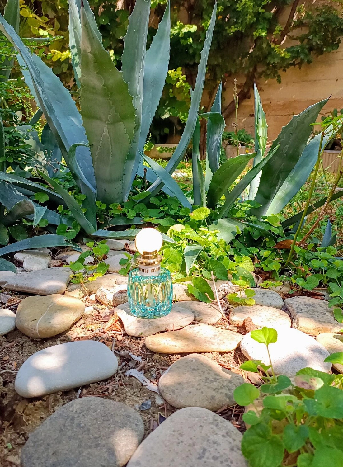 Miu Miu L'Eau Bleue