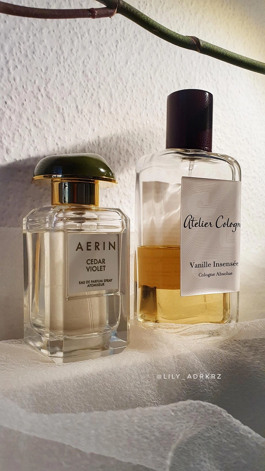 AERIN Cedar Violet