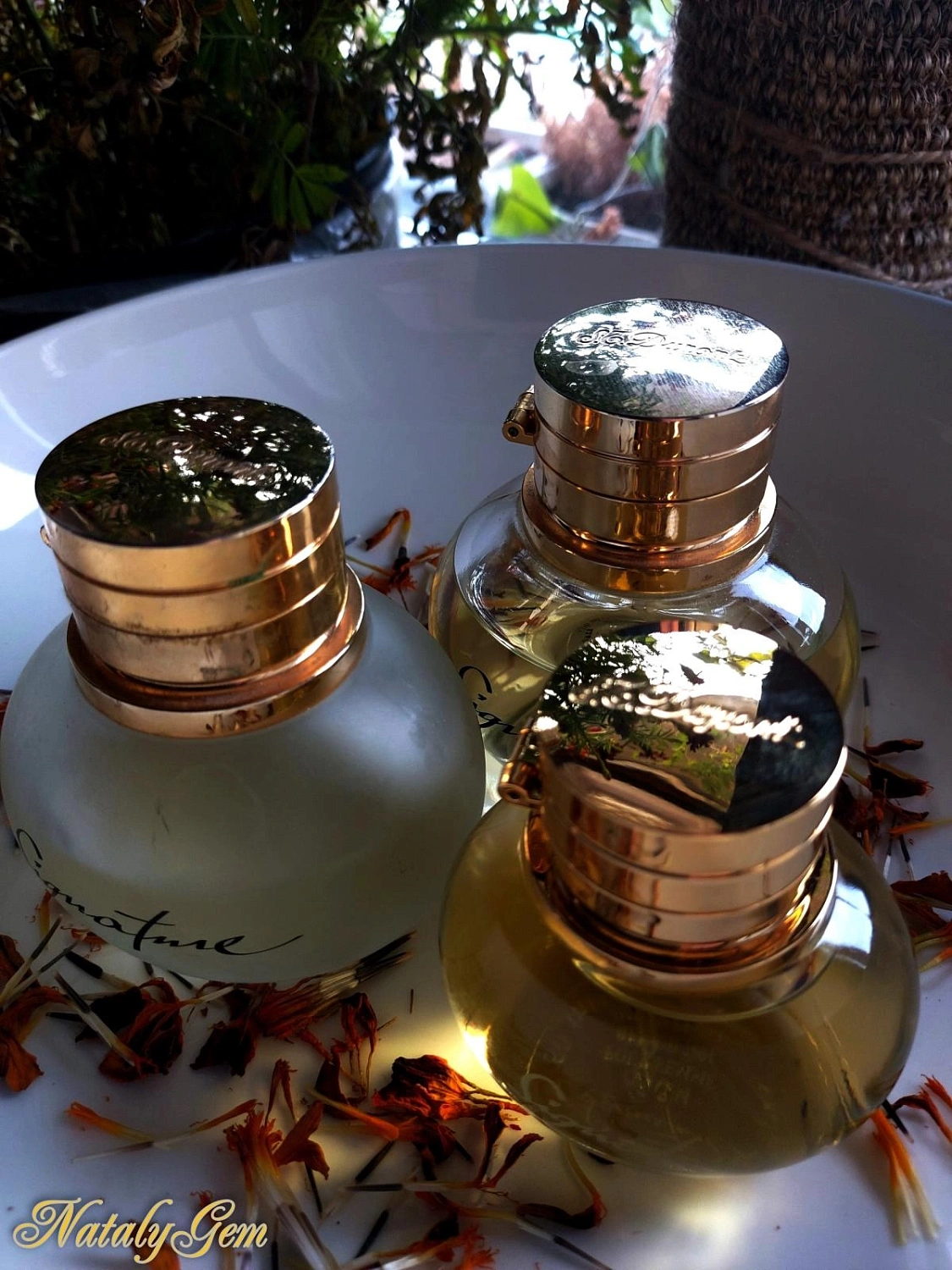 S.T. Dupont Signature