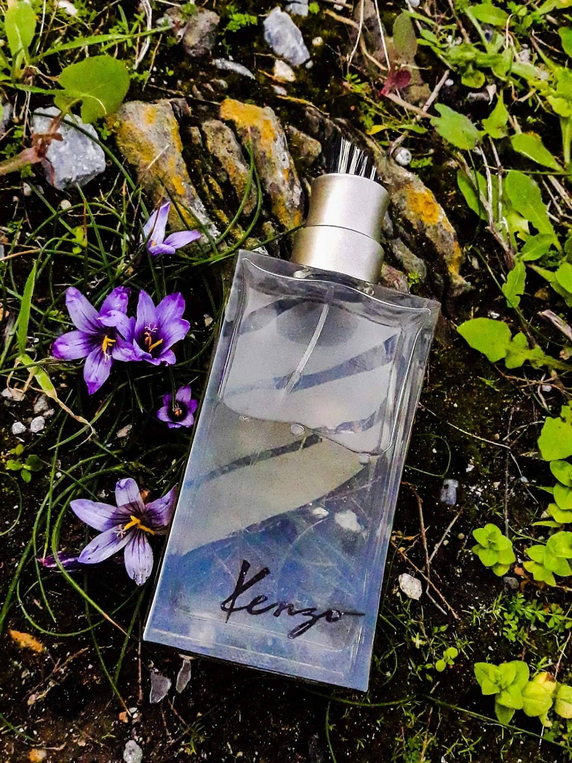 Kenzo Jungle