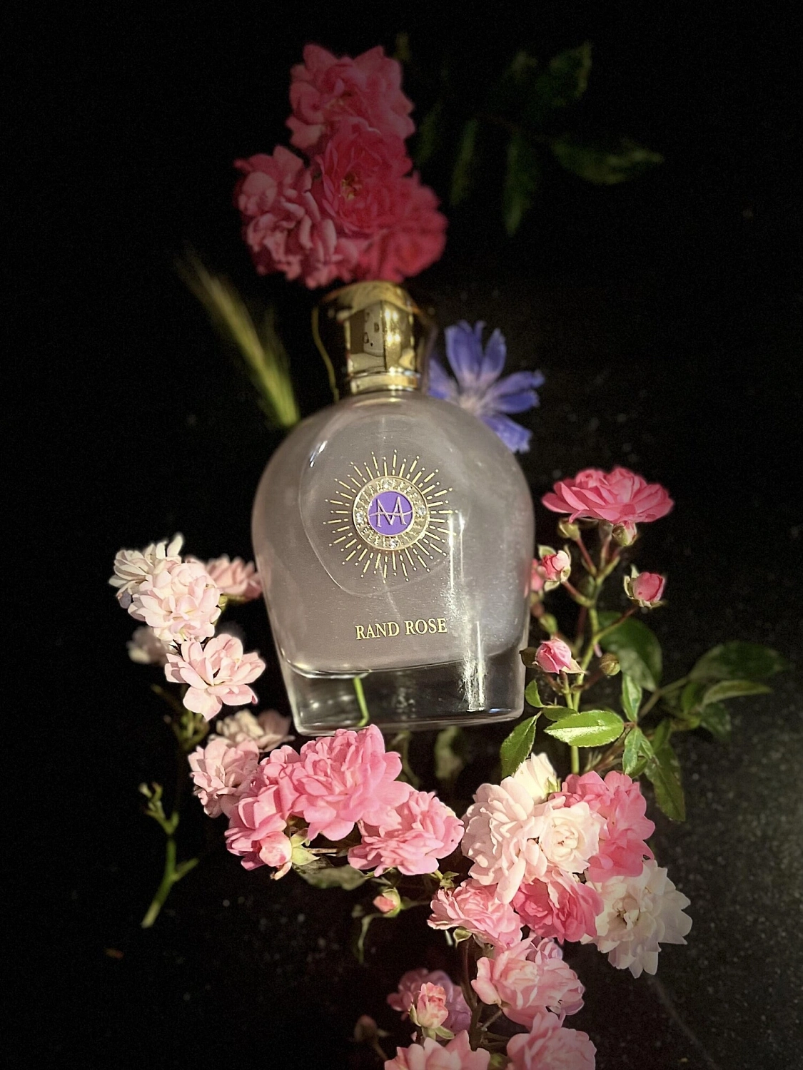 Moresque Rand Rose