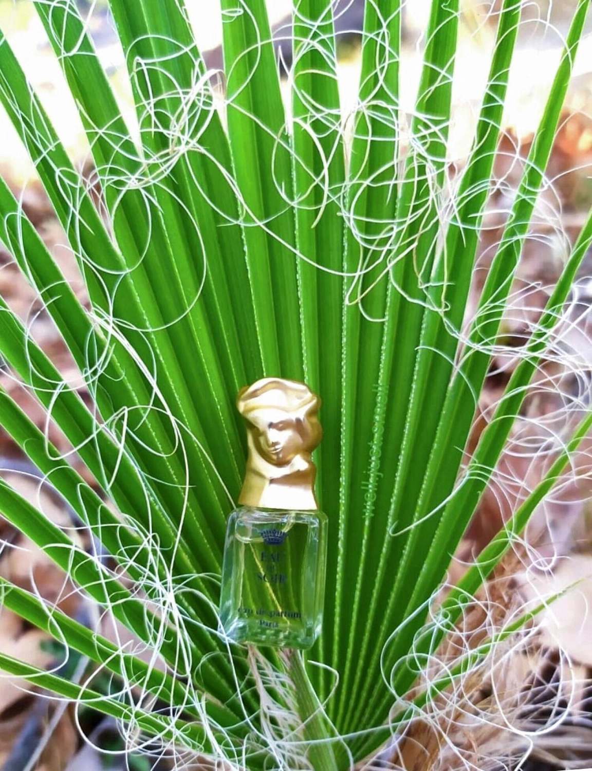 Sisley Eau du Soir