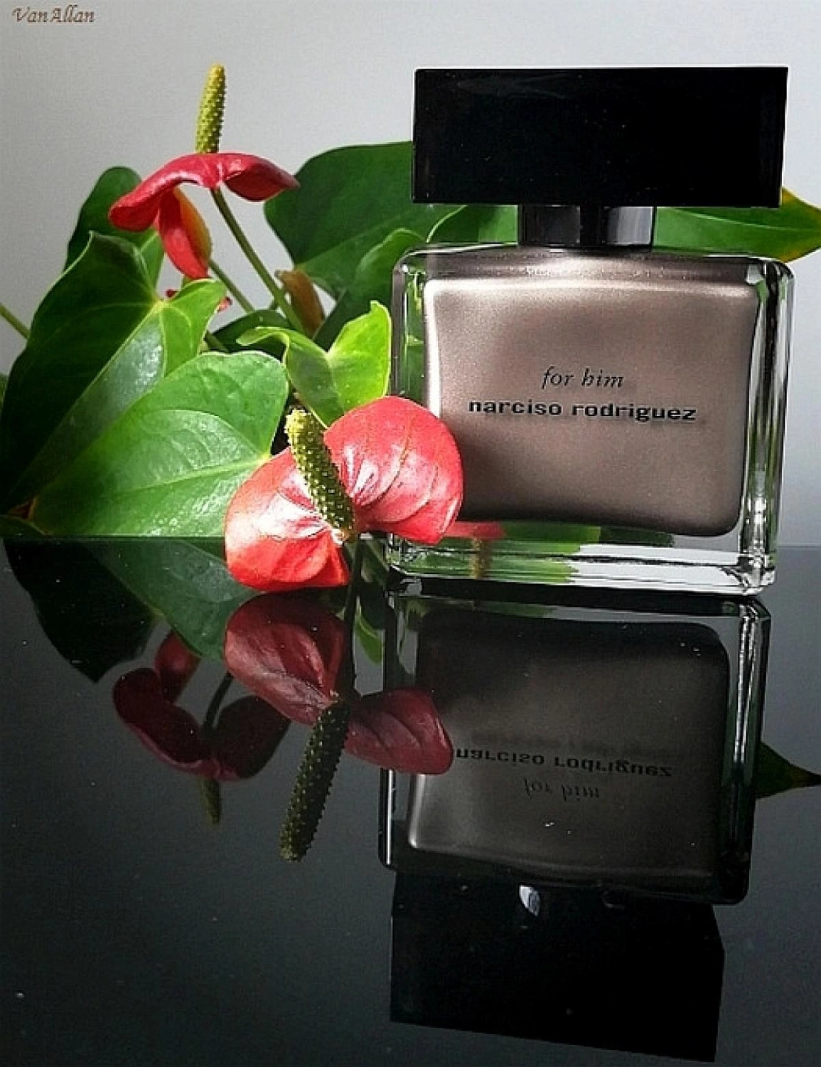 Narciso Rodriguez for Him Eau de Parfum Intense