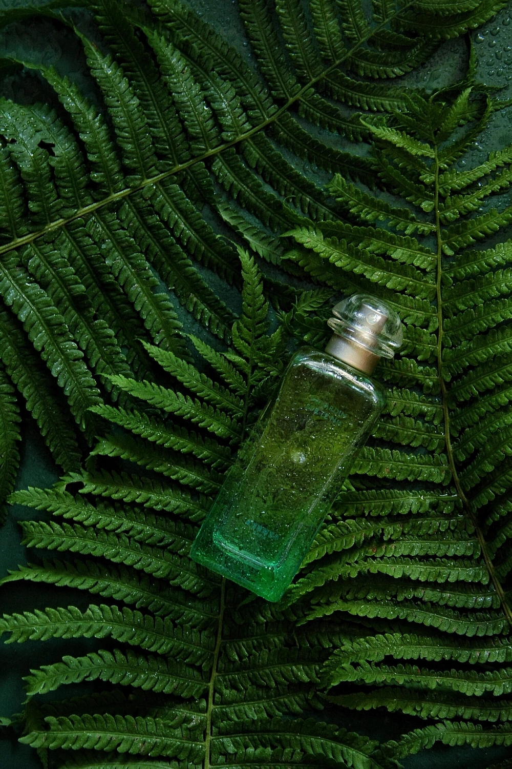 Hermès Un Jardin sur le Nil