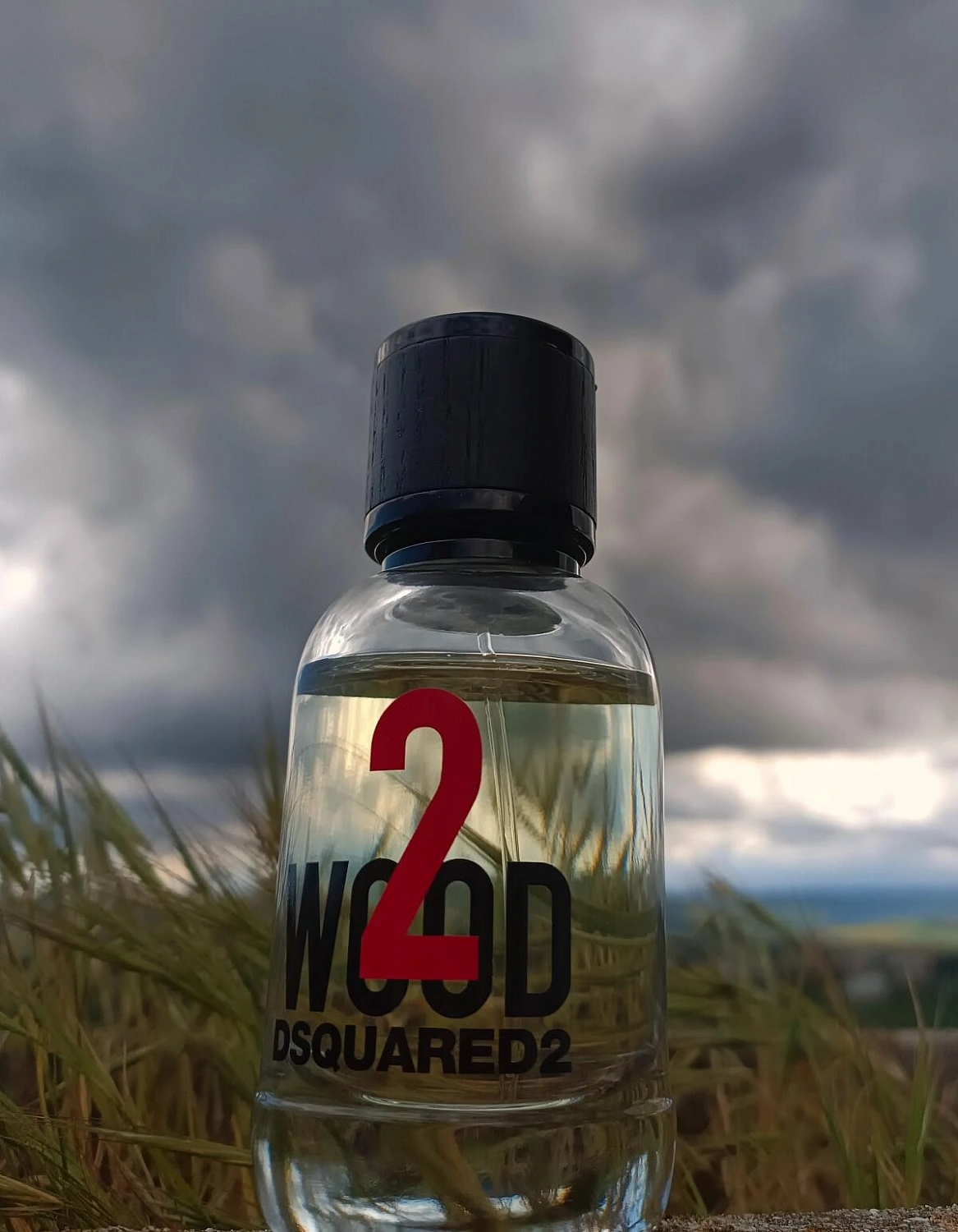 Dsquared2 2 Wood