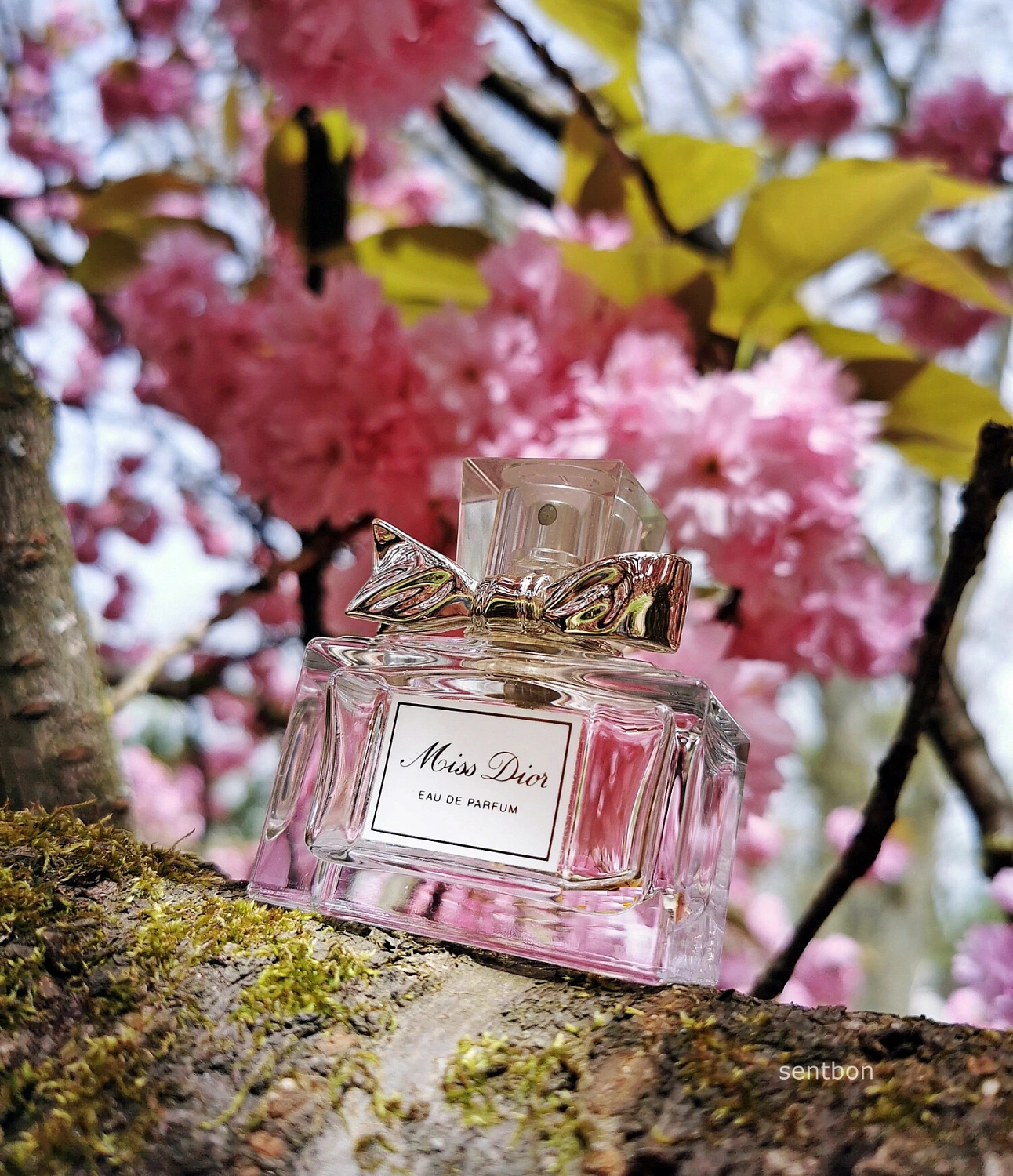 Christian Dior Miss Dior Eau de Parfum