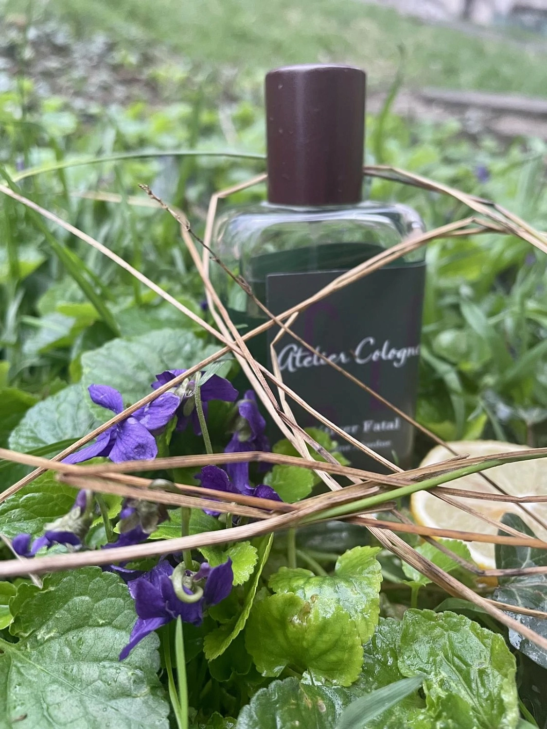 Atelier Cologne Vetiver Fatal