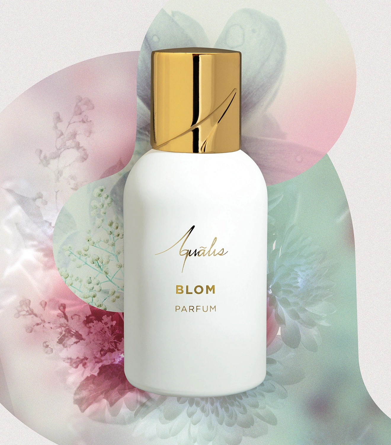 Aqualis Blom