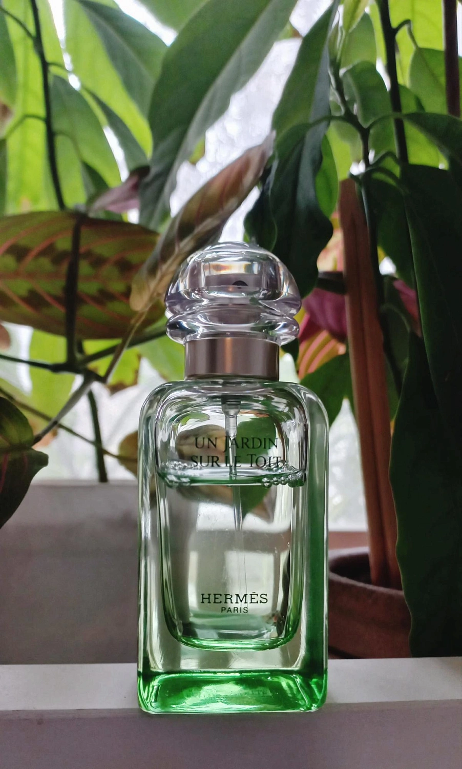 Hermès Un Jardin Sur Le Toit