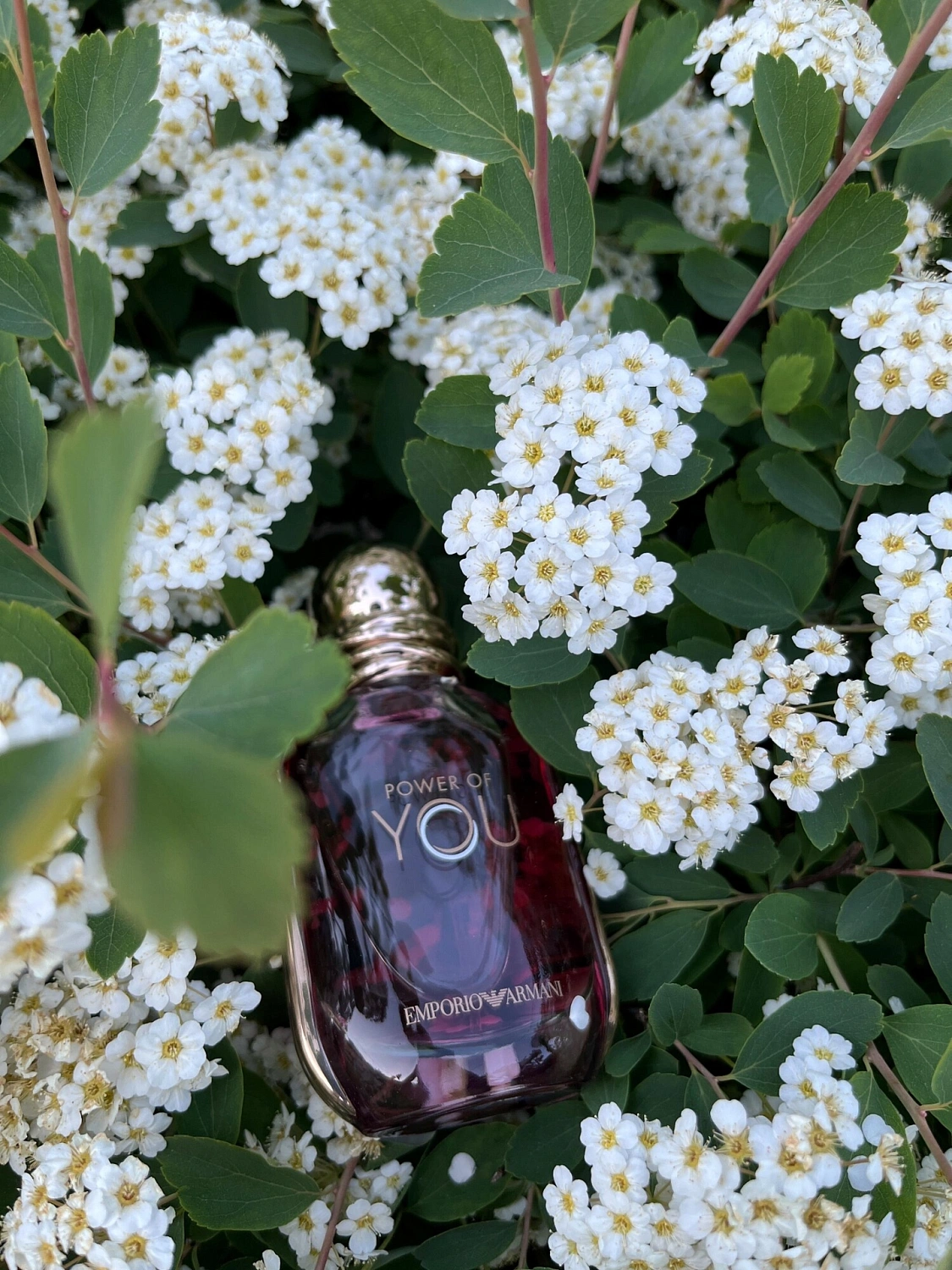 Armani Power Of You