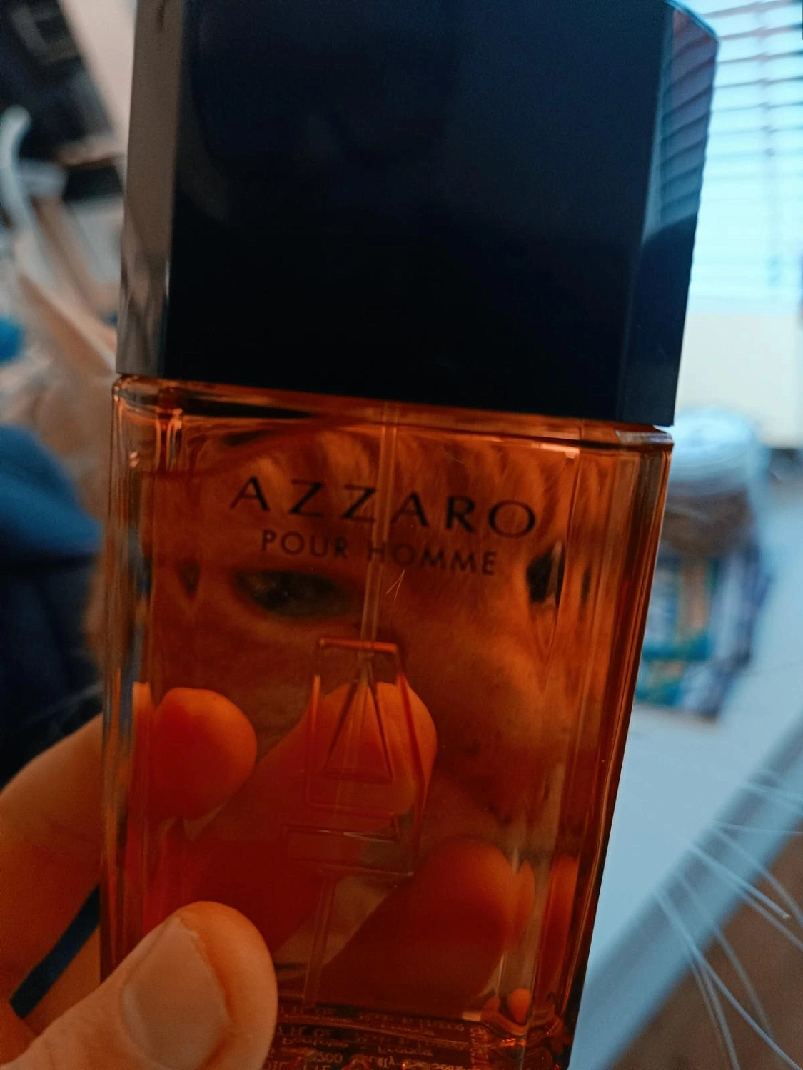 Azzaro pour Homme