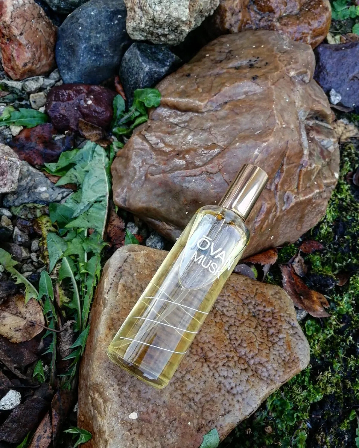 Jovan Musk for Women