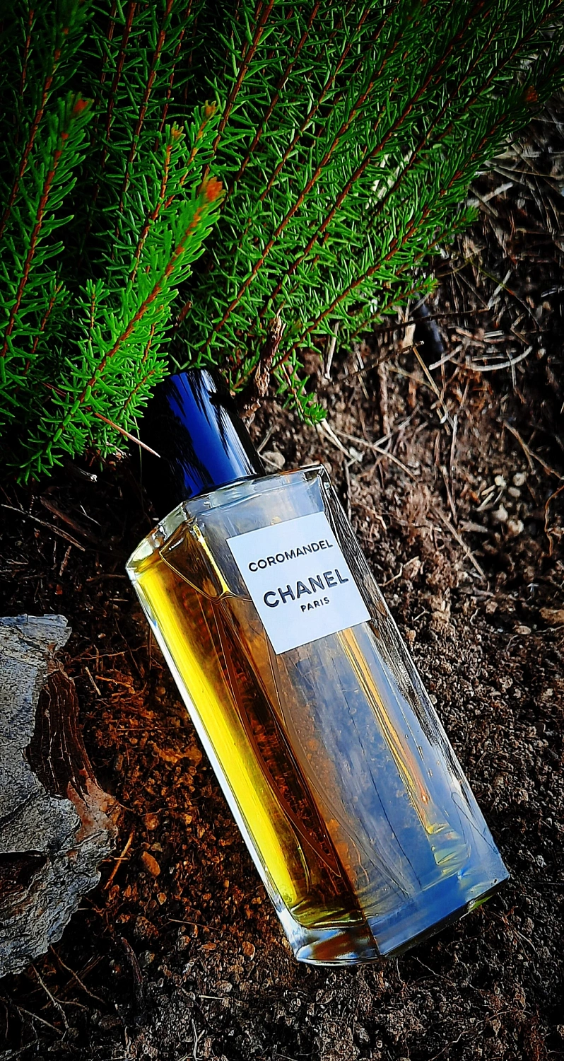 Chanel Coromandel