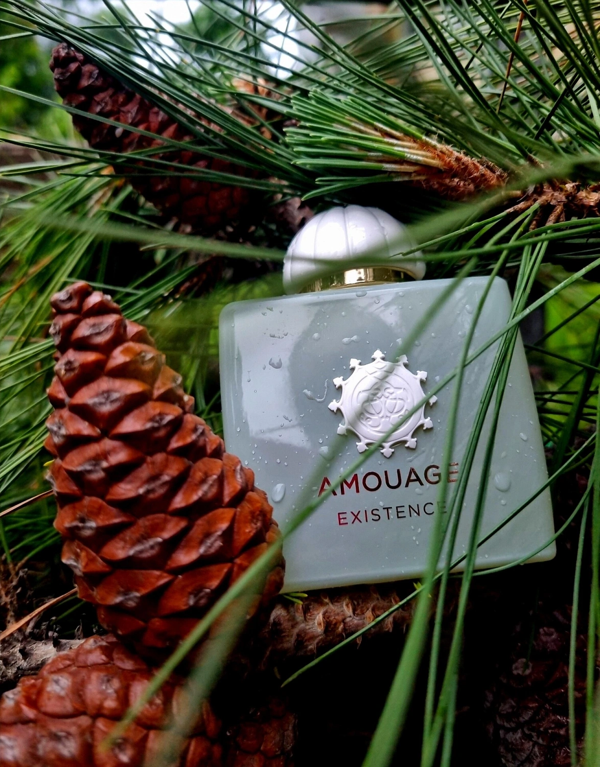 Amouage Existence