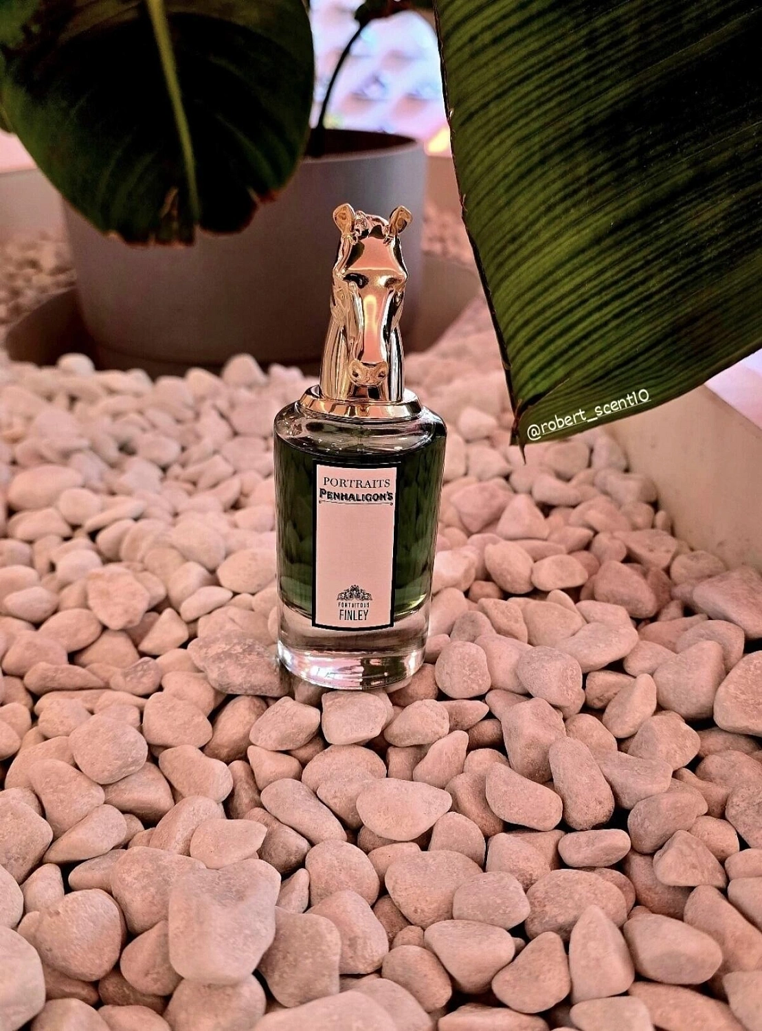 Penhaligon's Fortuitous Finley