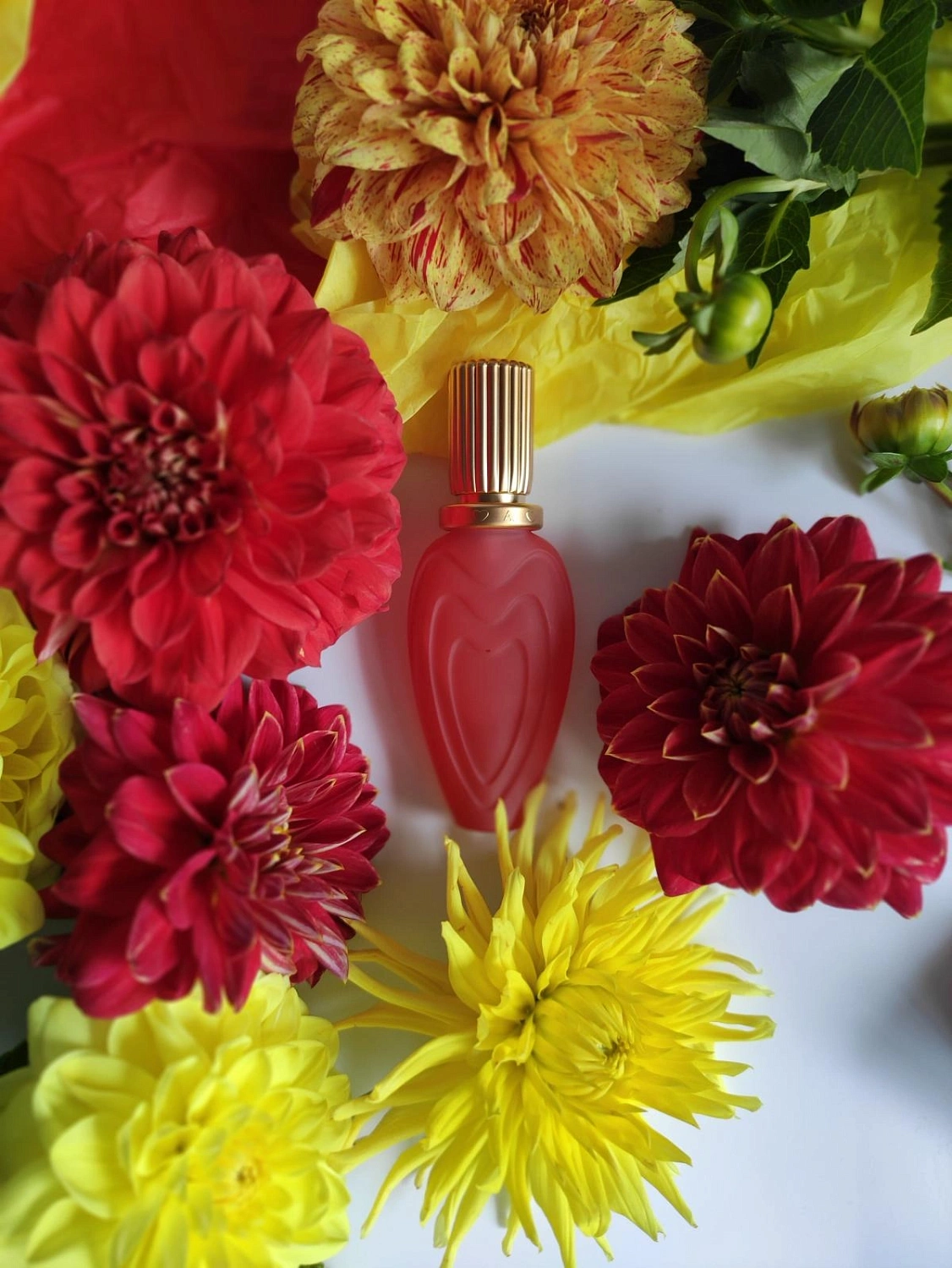 Escada Margaretha Ley Summer In Provence