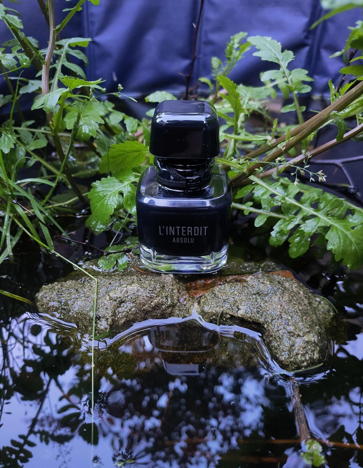 Givenchy L'Interdit Absolu