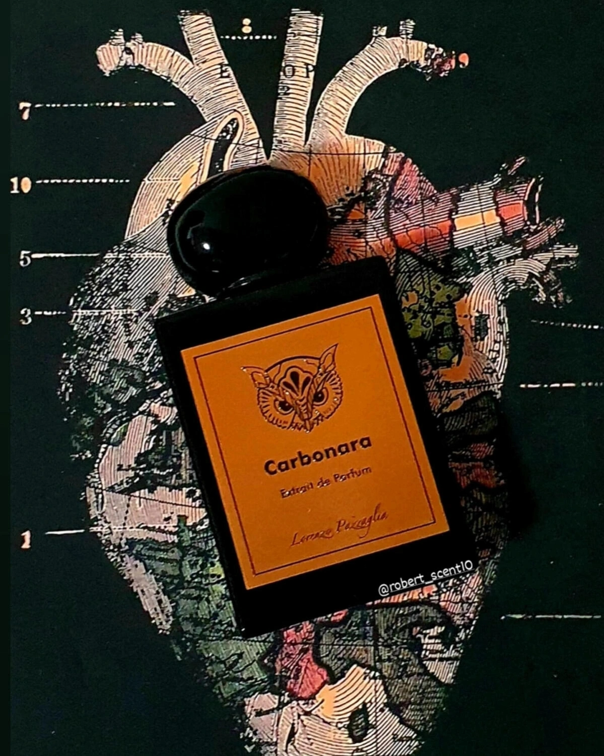 Lorenzo Pazzaglia Carbonara
