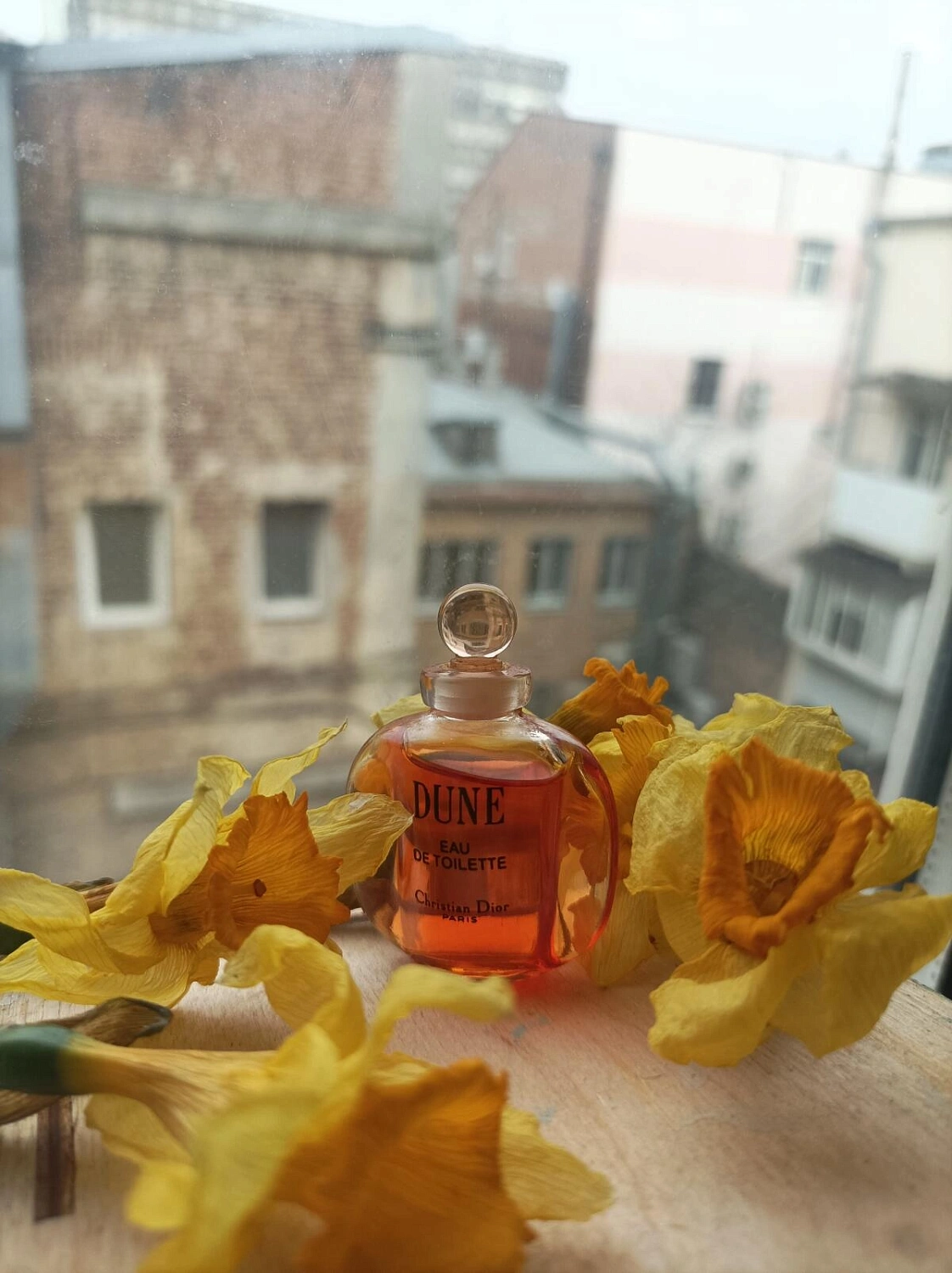Christian Dior Dune