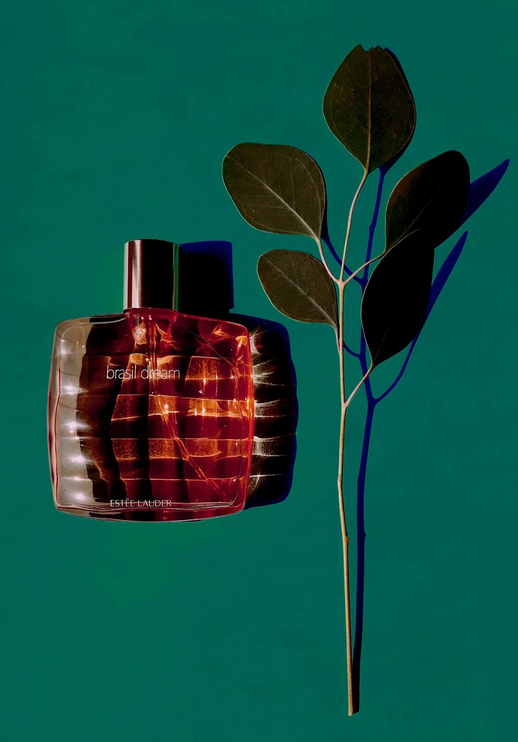 Estée Lauder Brasil Dream