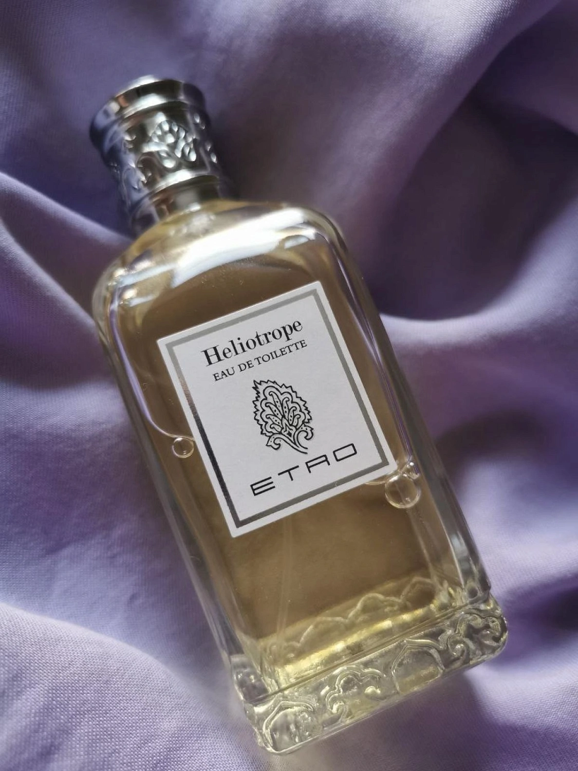 Etro Heliotrope