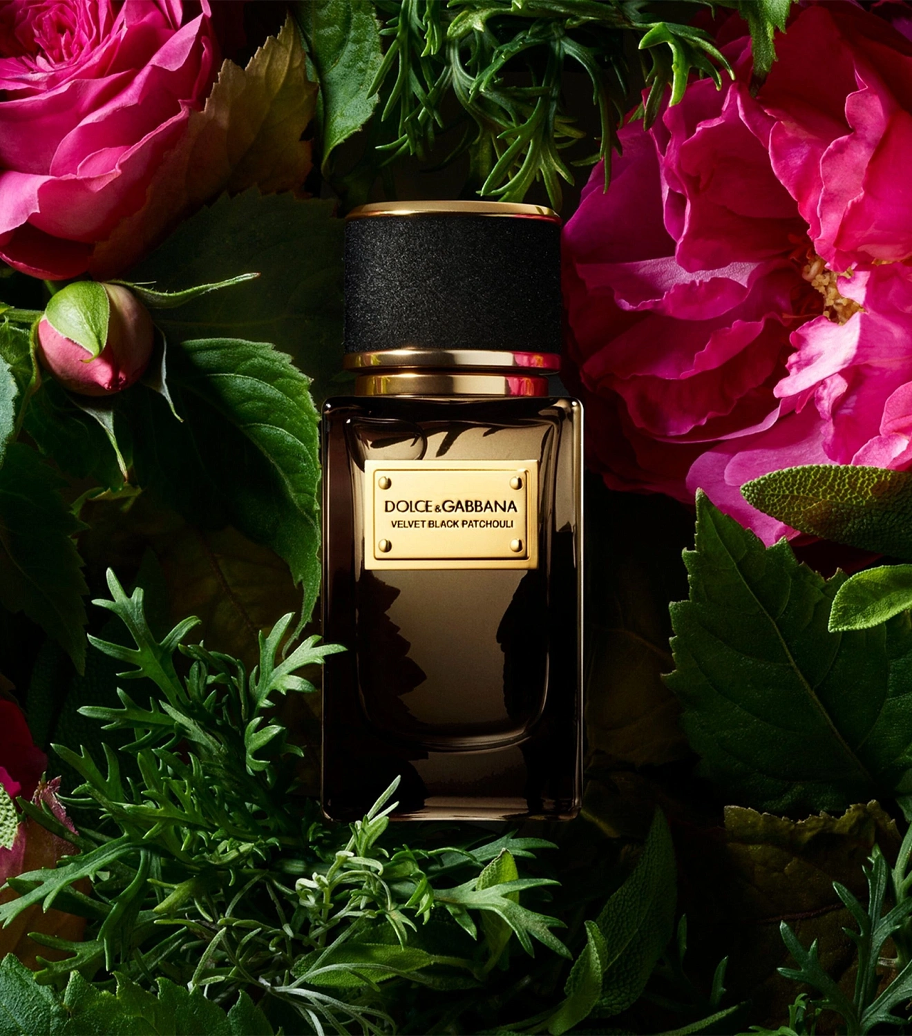 Dolce & Gabbana Velvet Black Patchouli