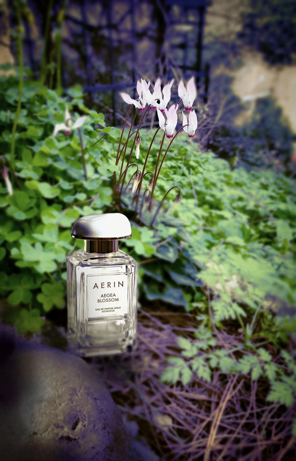 AERIN Aegea Blossom