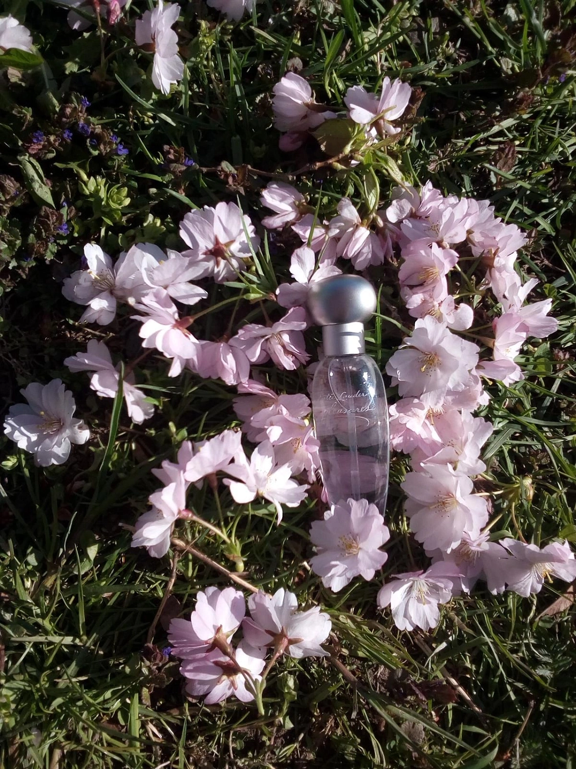 Estée Lauder Pleasures