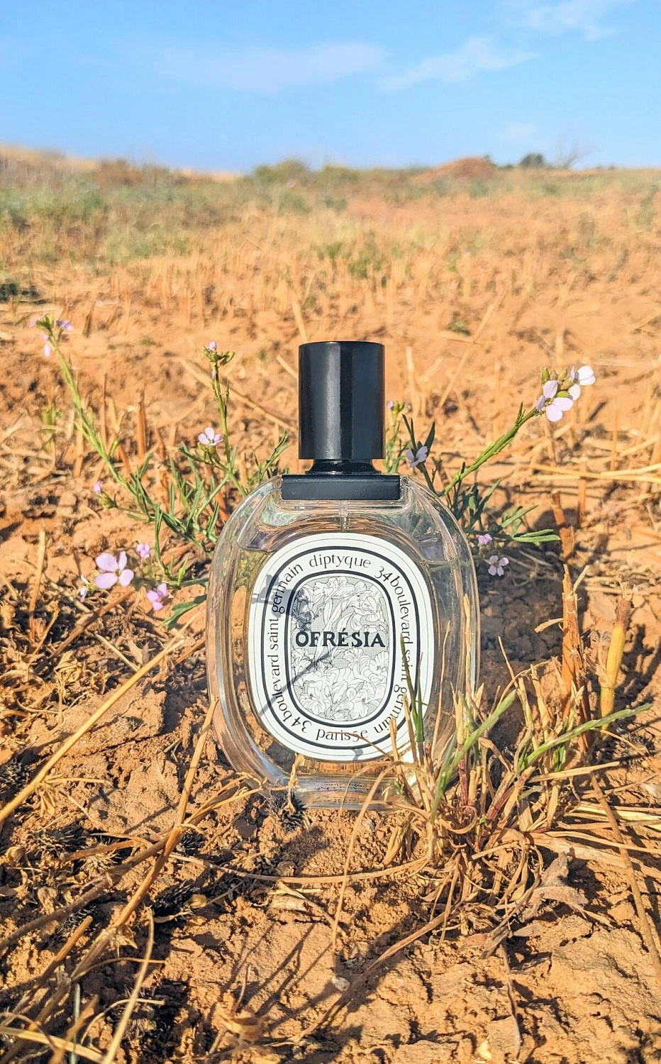 Diptyque Ofresia