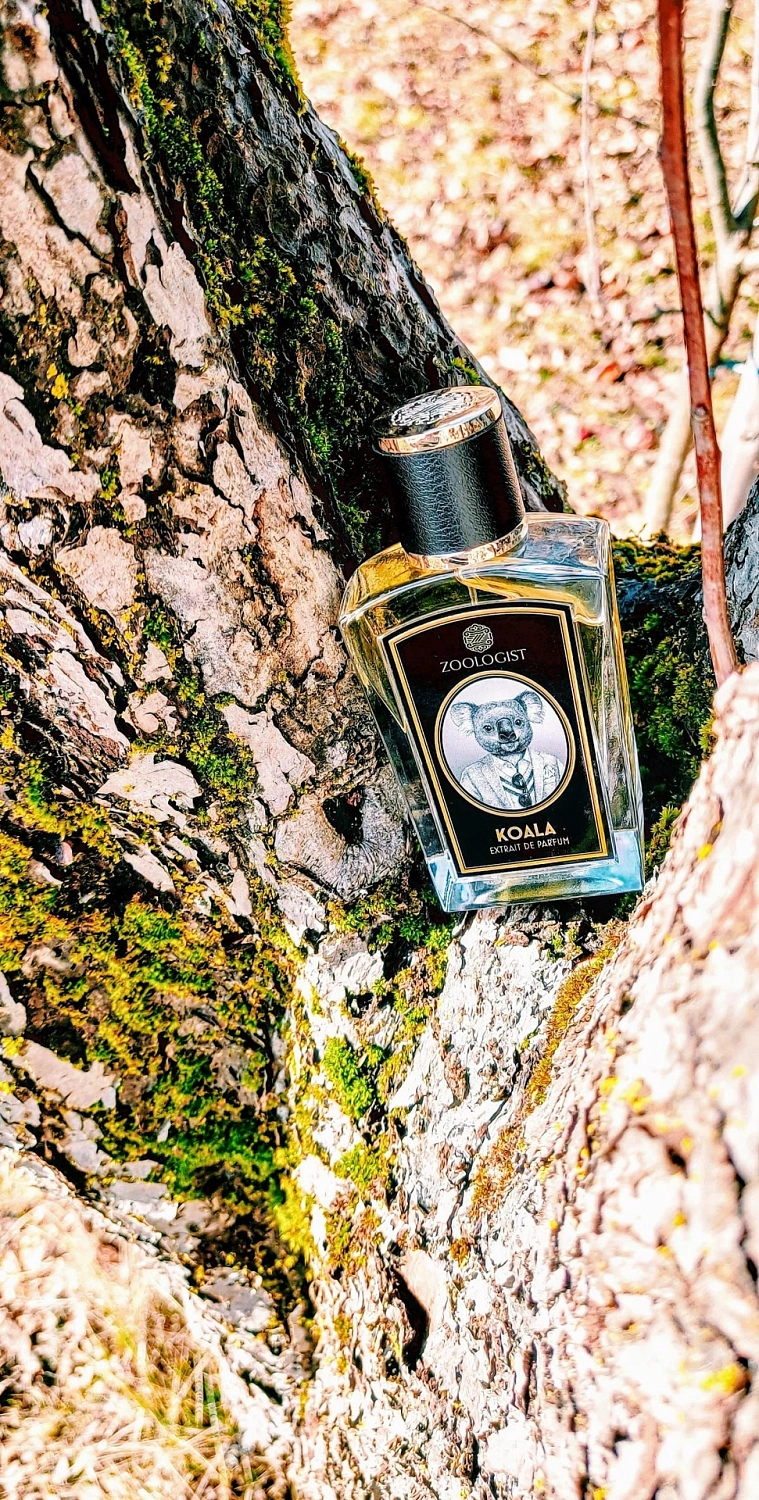 Zoologist Perfumes Koala