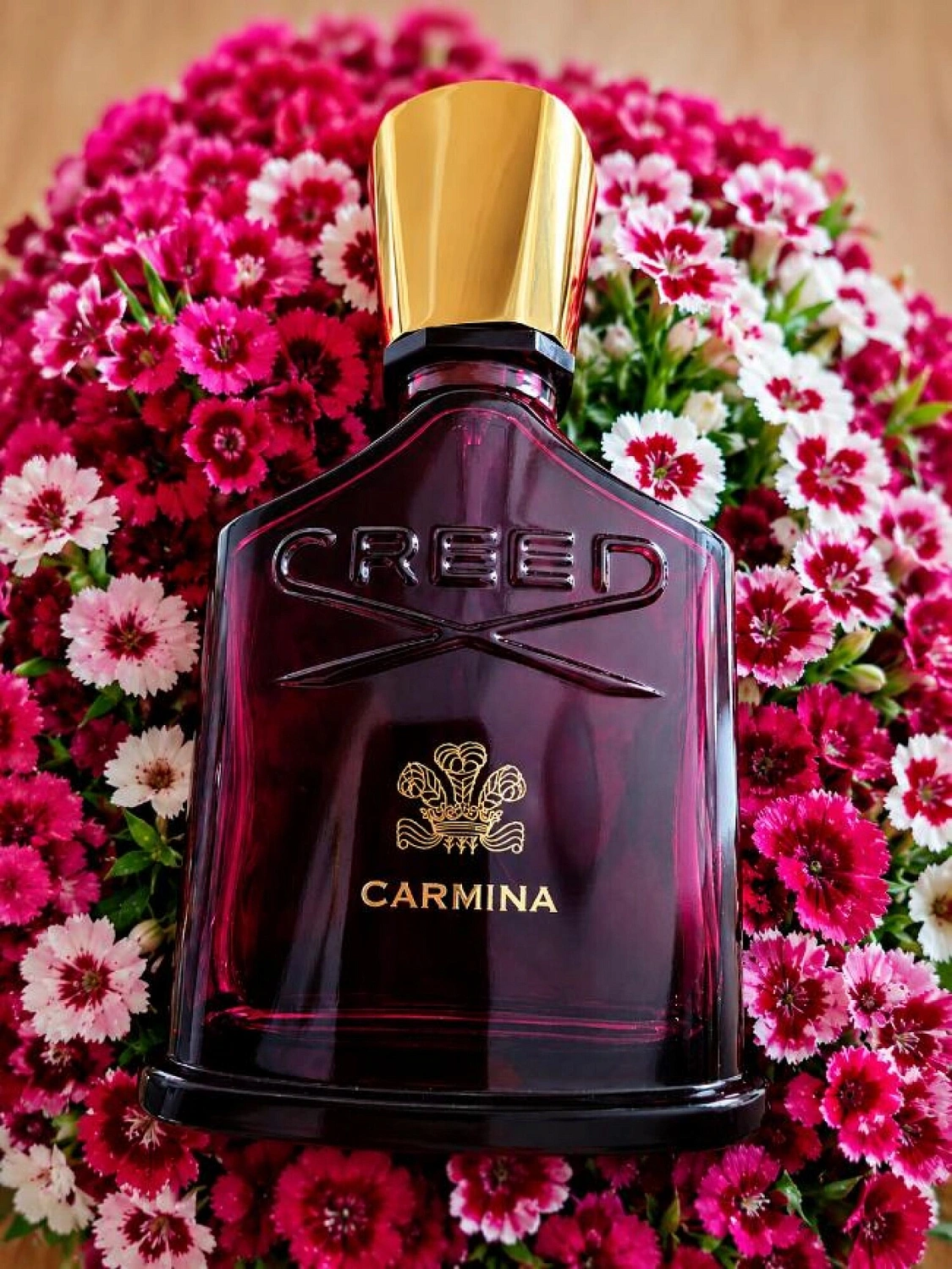 Creed Carmina