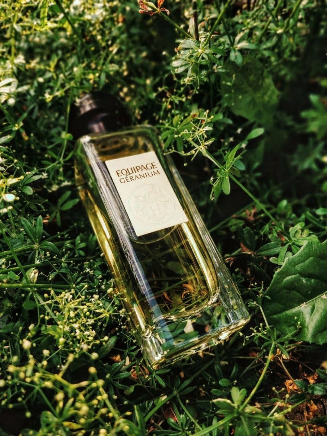 Hermès Equipage Geranium