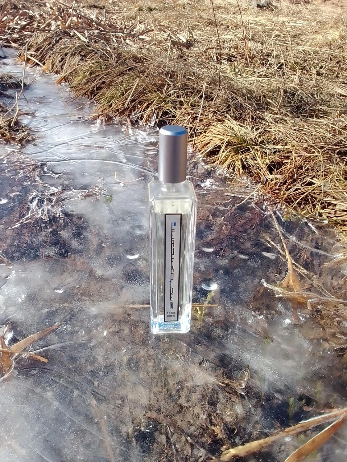 Serge Lutens L'Eau Froide