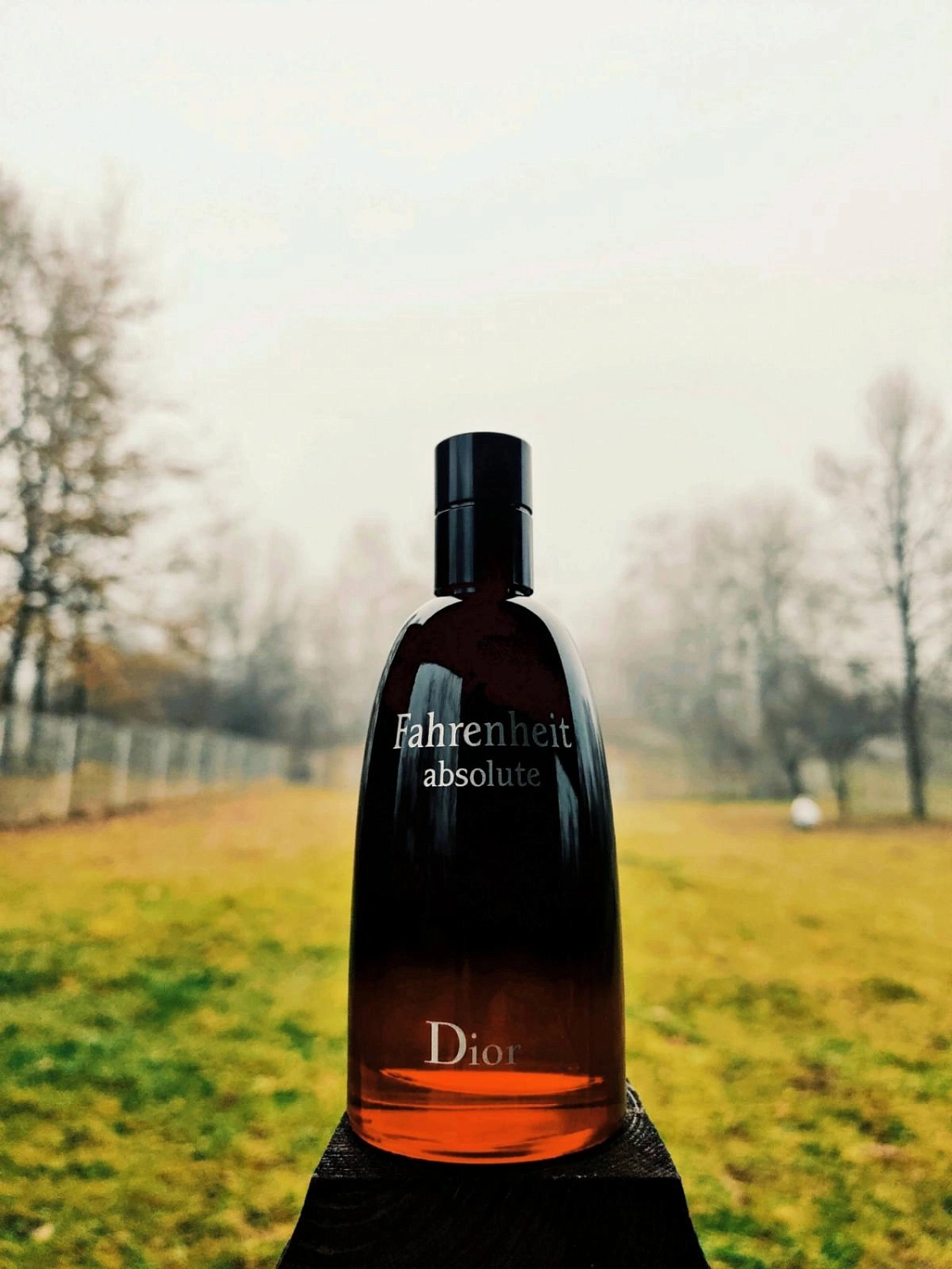 Christian Dior Fahrenheit Absolute