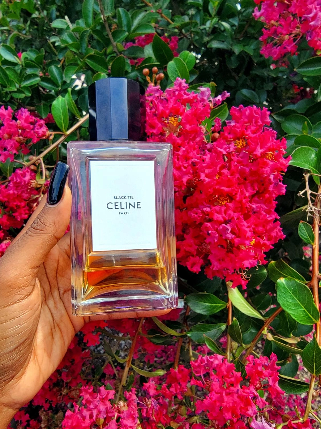 Celine Black Tie
