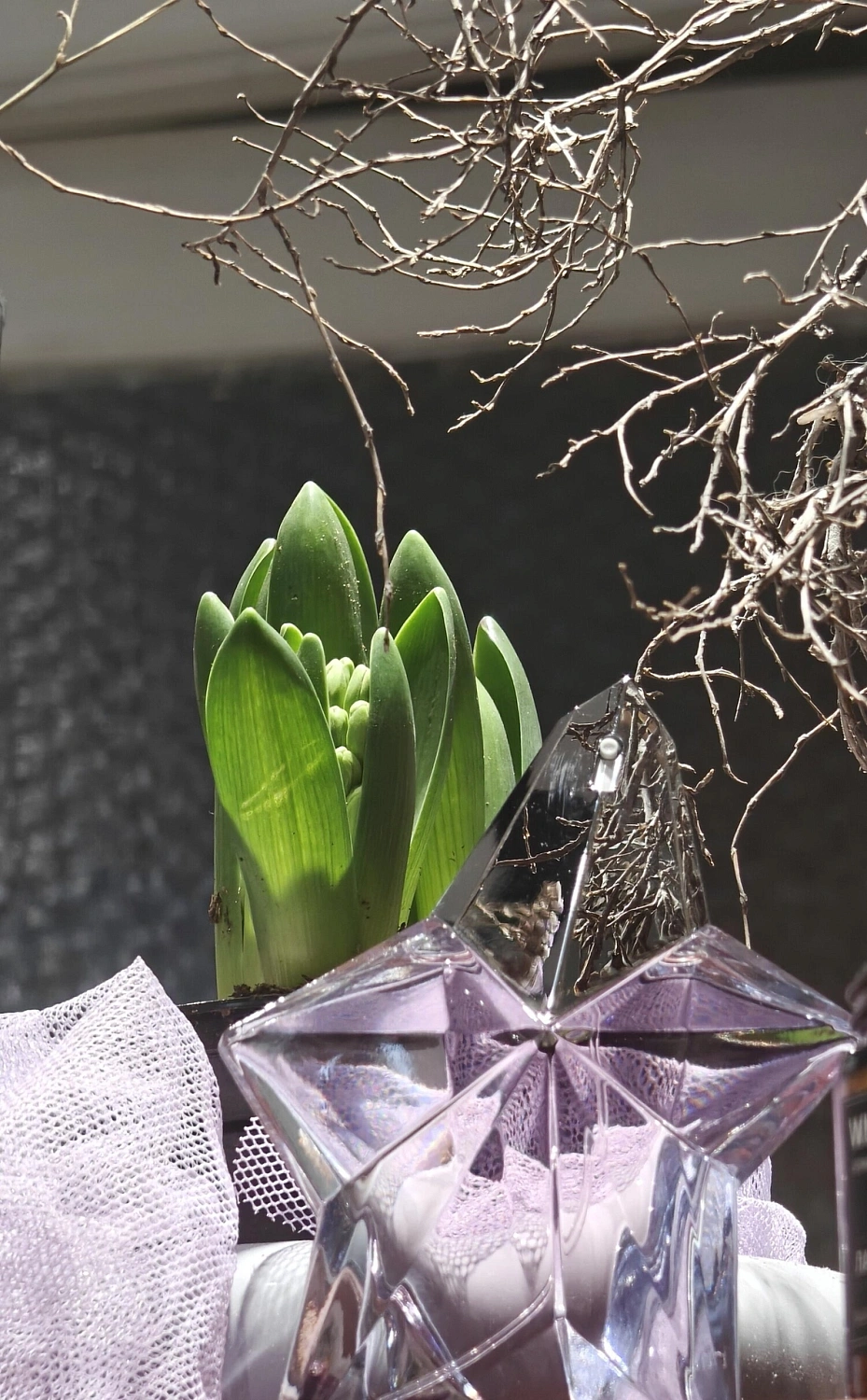 Mugler Angel Eau de Toilette (2019)
